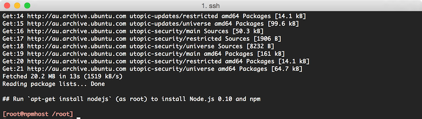 install npm linux